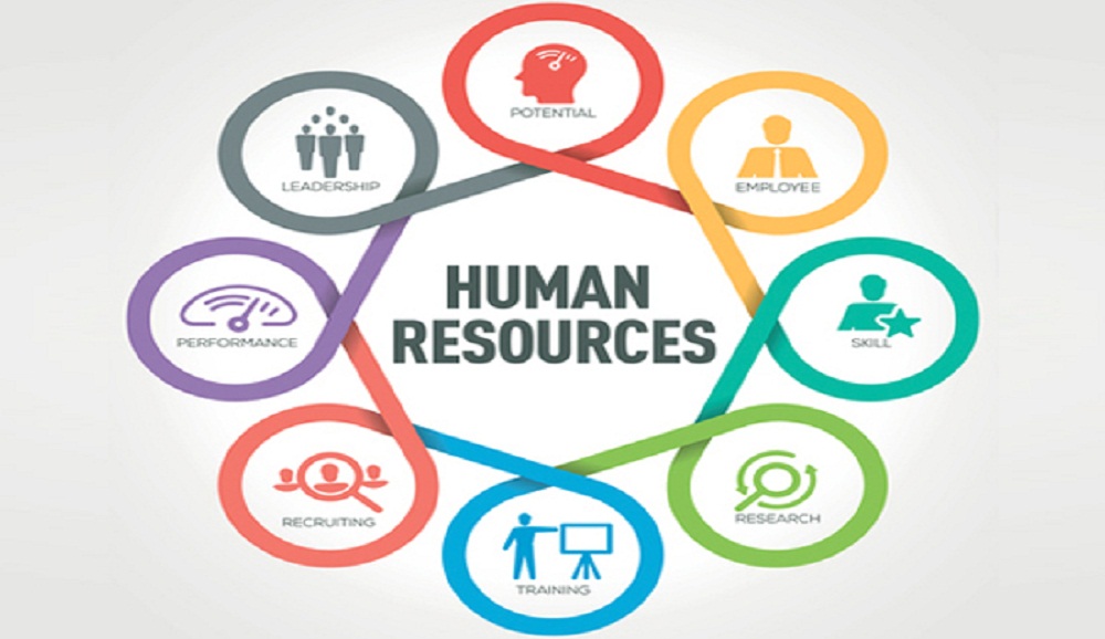 Is the career of HR management apt for you? Check it out here!