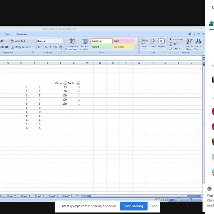 SIG on Basic Excel for Final Year Students - IIST